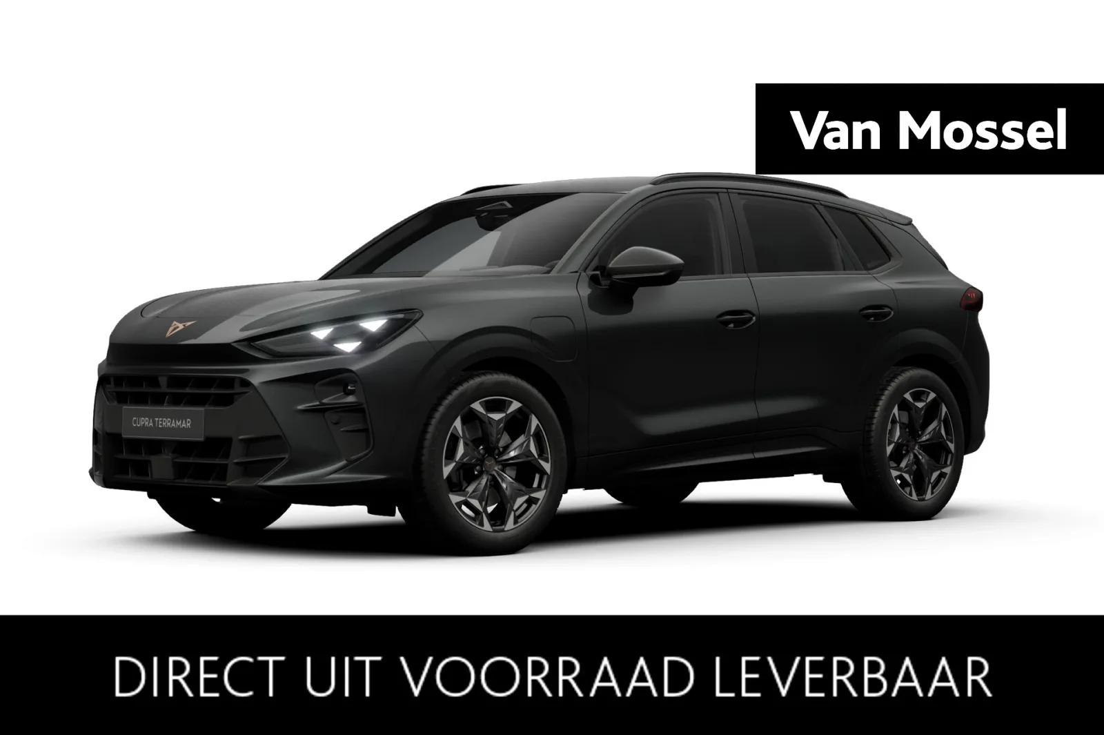CUPRA Terramar (2026) — foto 1