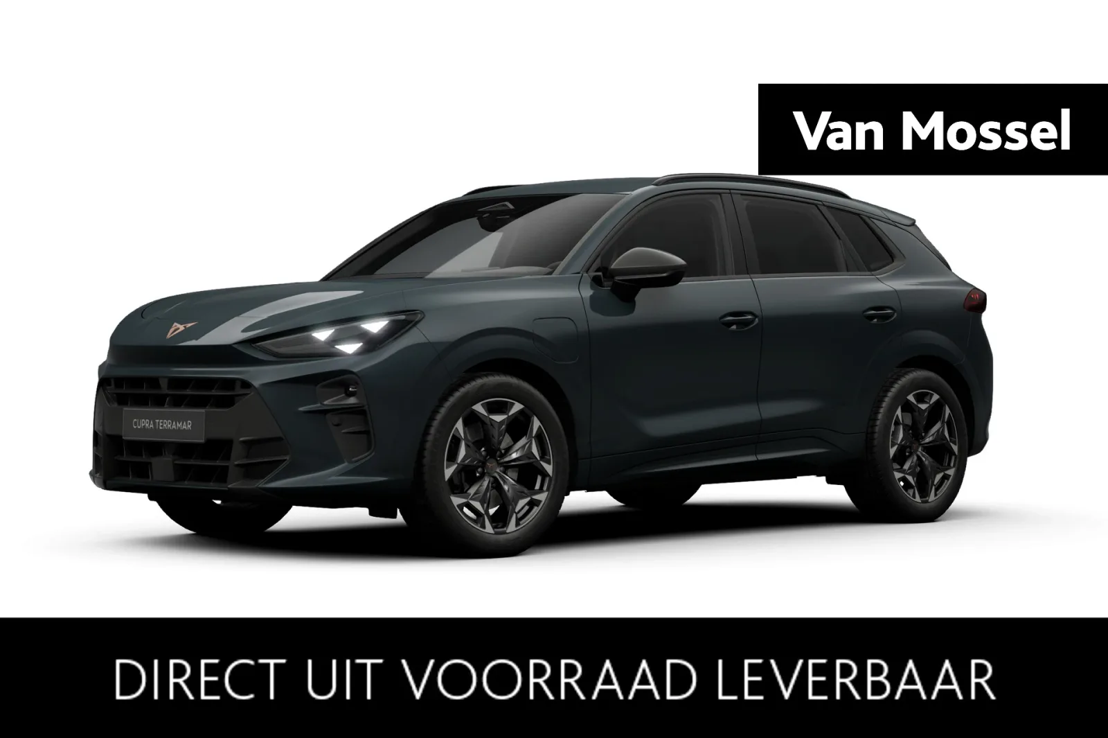 CUPRA Terramar (2026) — foto 1