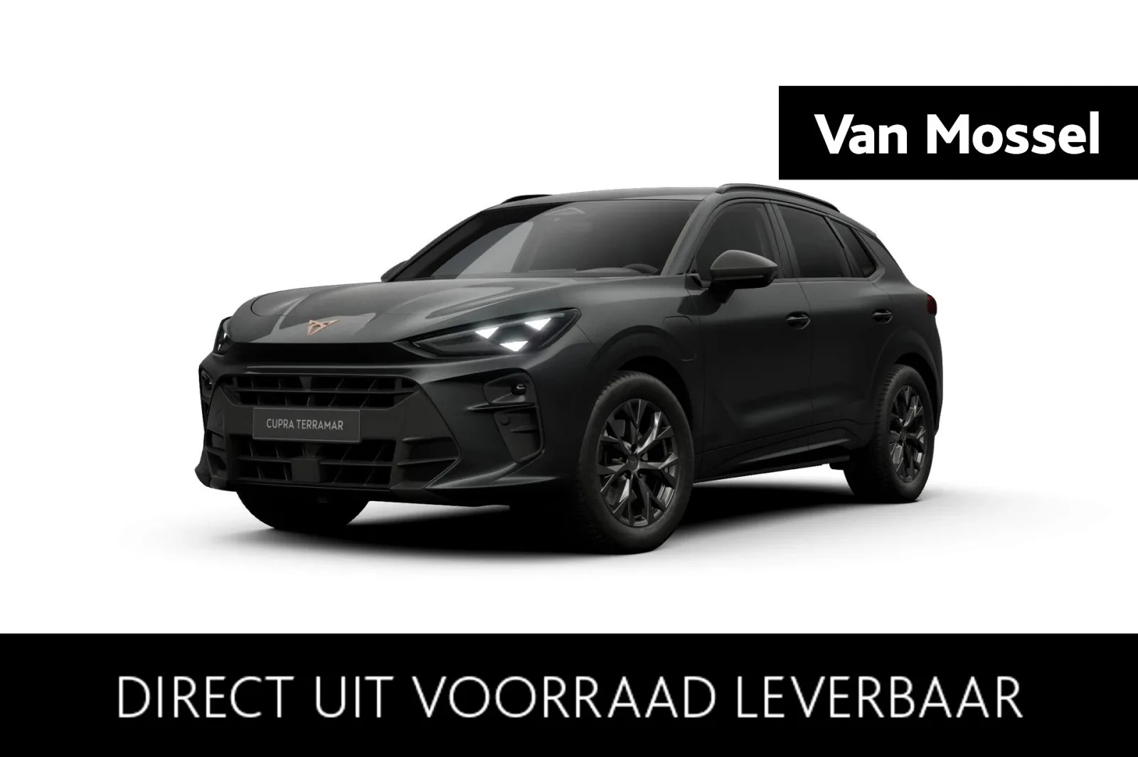 CUPRA Terramar (2026) — foto 1