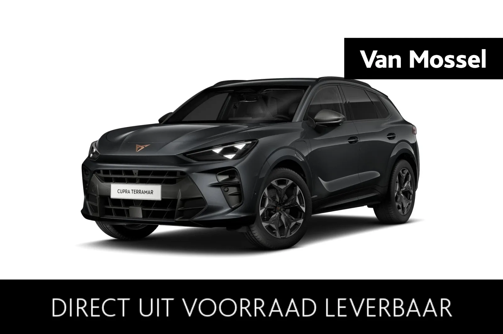 CUPRA Terramar (2026) — foto 1