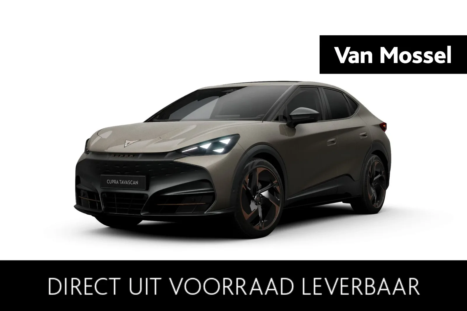 CUPRA Tavascan (2026) — foto 1