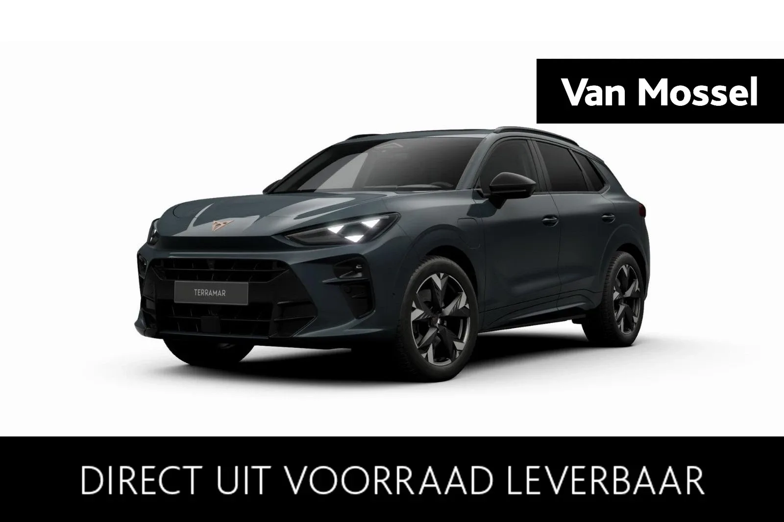 CUPRA Terramar (2026) — foto 1