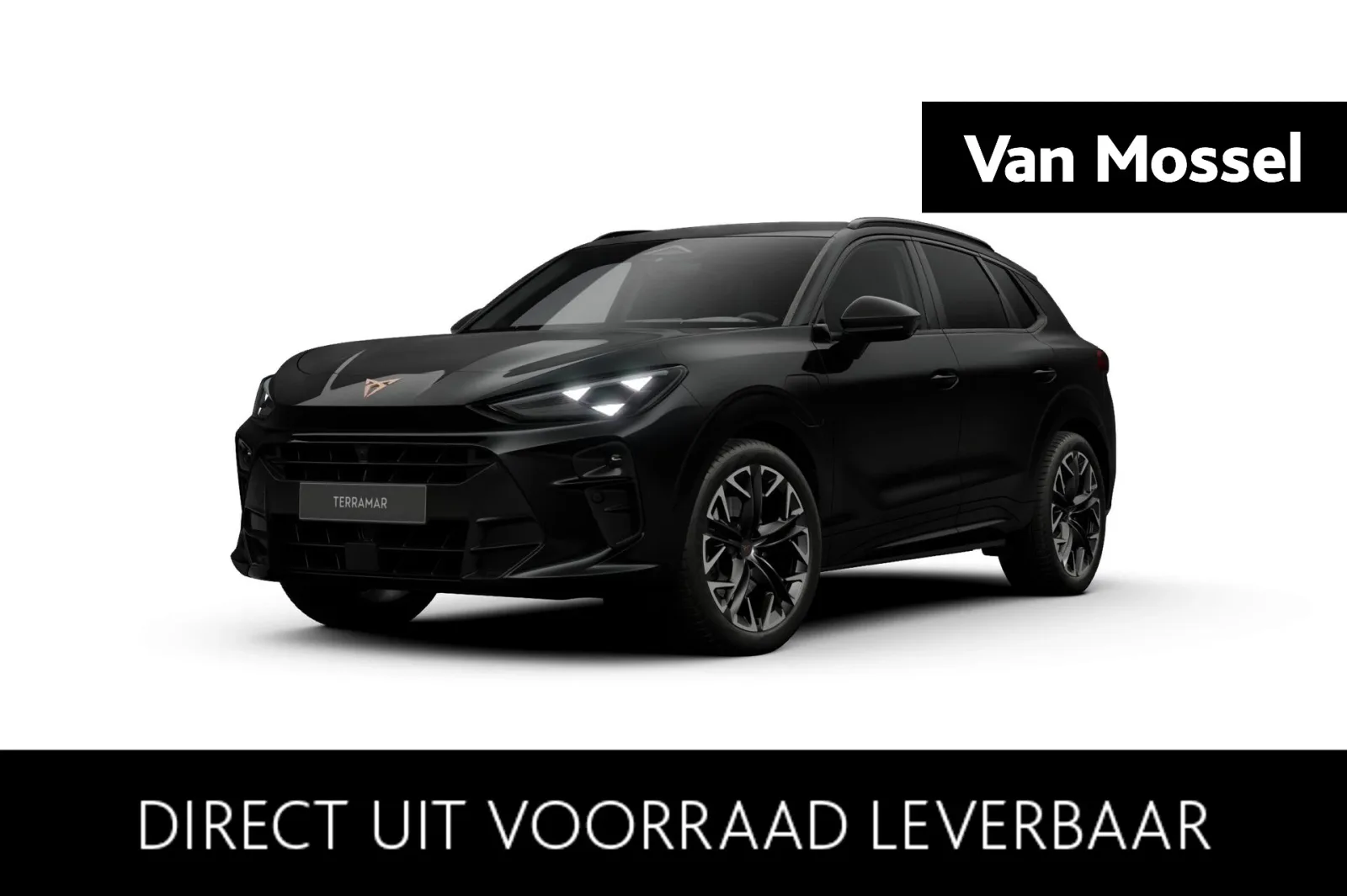 CUPRA Terramar (2026) — foto 1