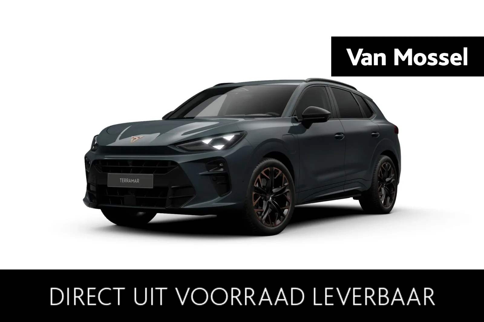 CUPRA Terramar (2026) — foto 1