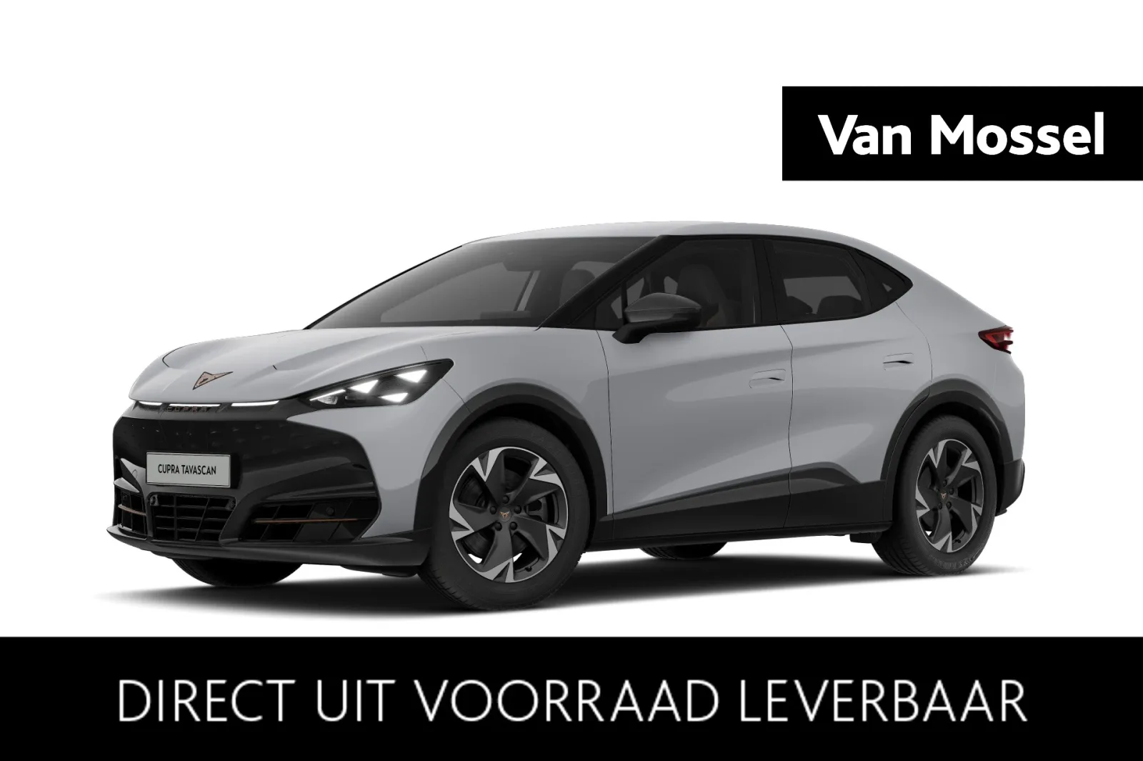 CUPRA Tavascan (2026) — foto 1