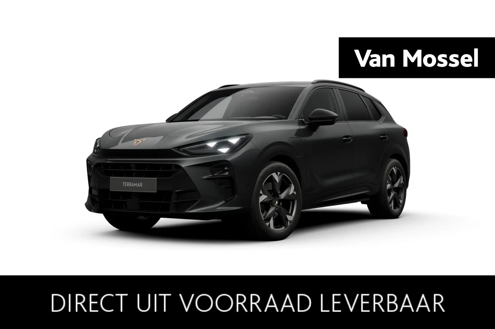 CUPRA Terramar (2026) — foto 1
