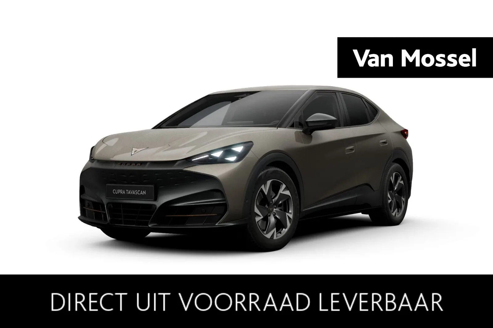 CUPRA Tavascan (2026) — foto 1