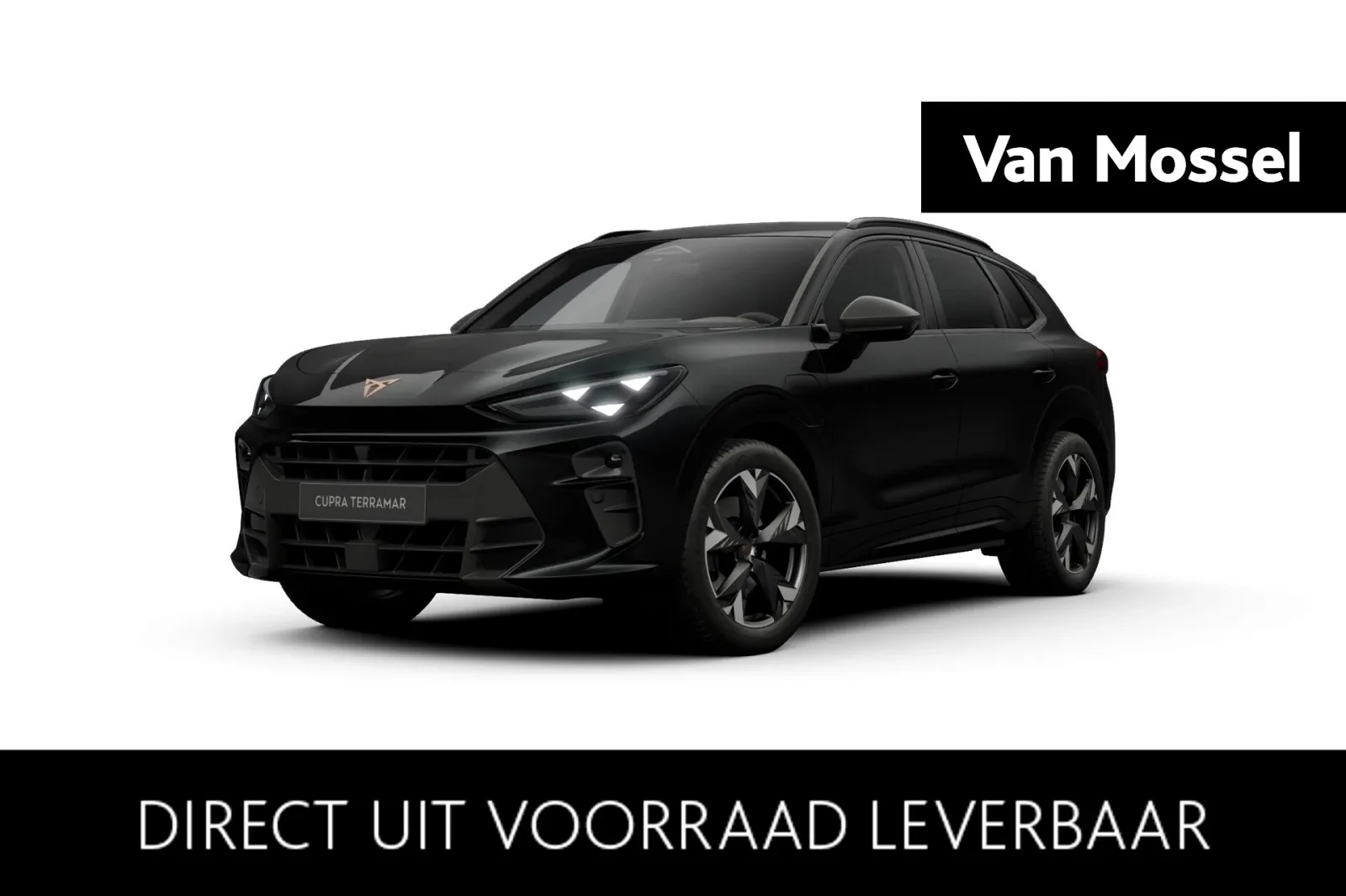 CUPRA Terramar (2026) — foto 1