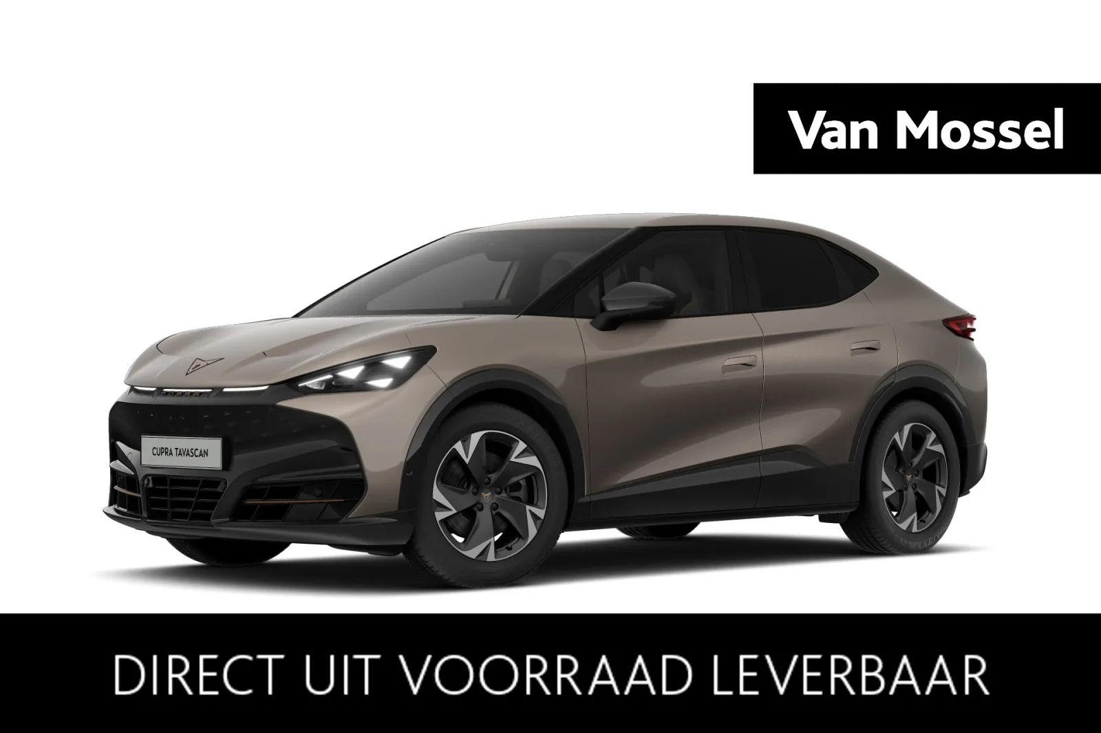 CUPRA Tavascan (2026) — foto 1