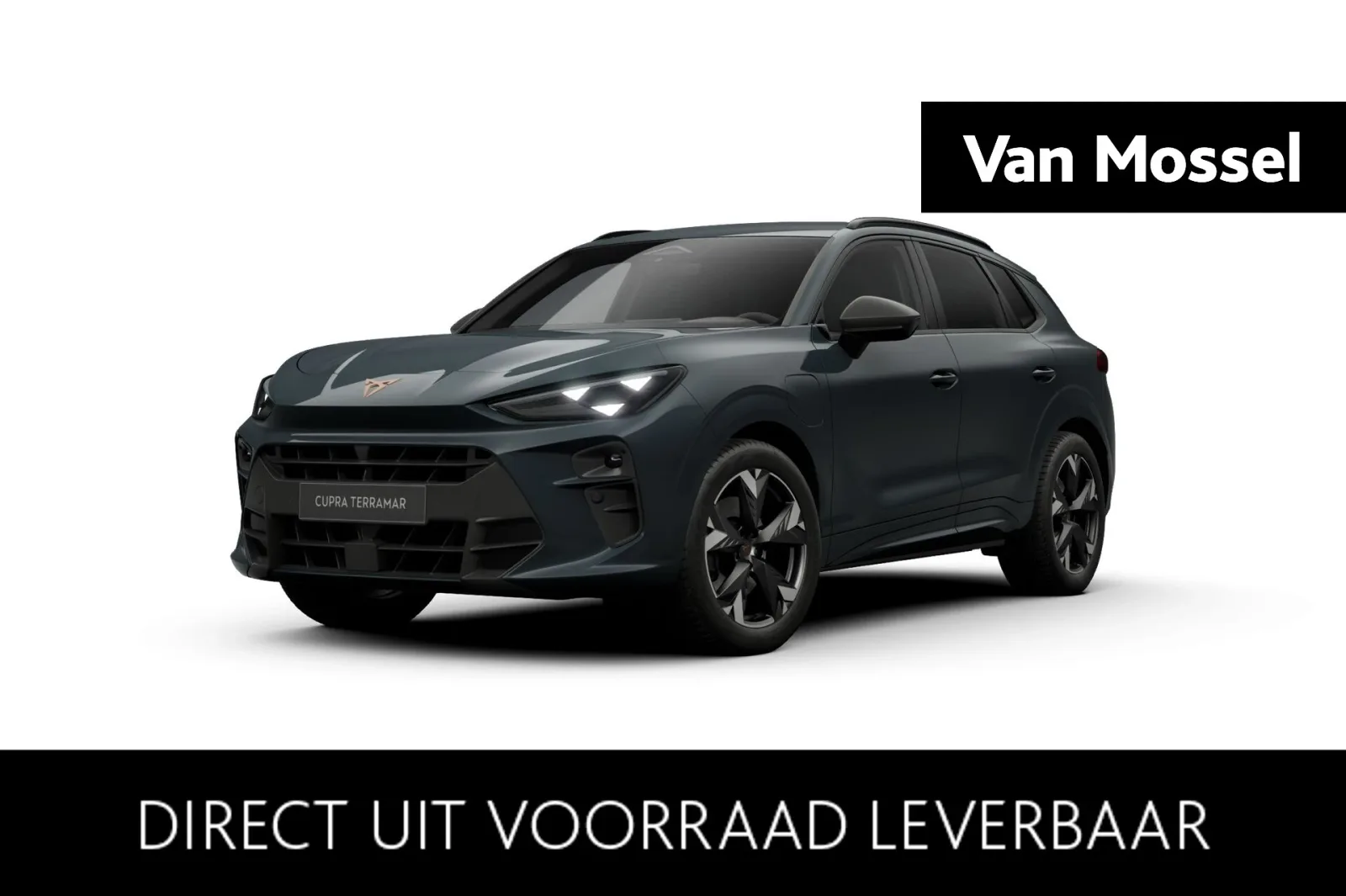 CUPRA Terramar (2026) — foto 1
