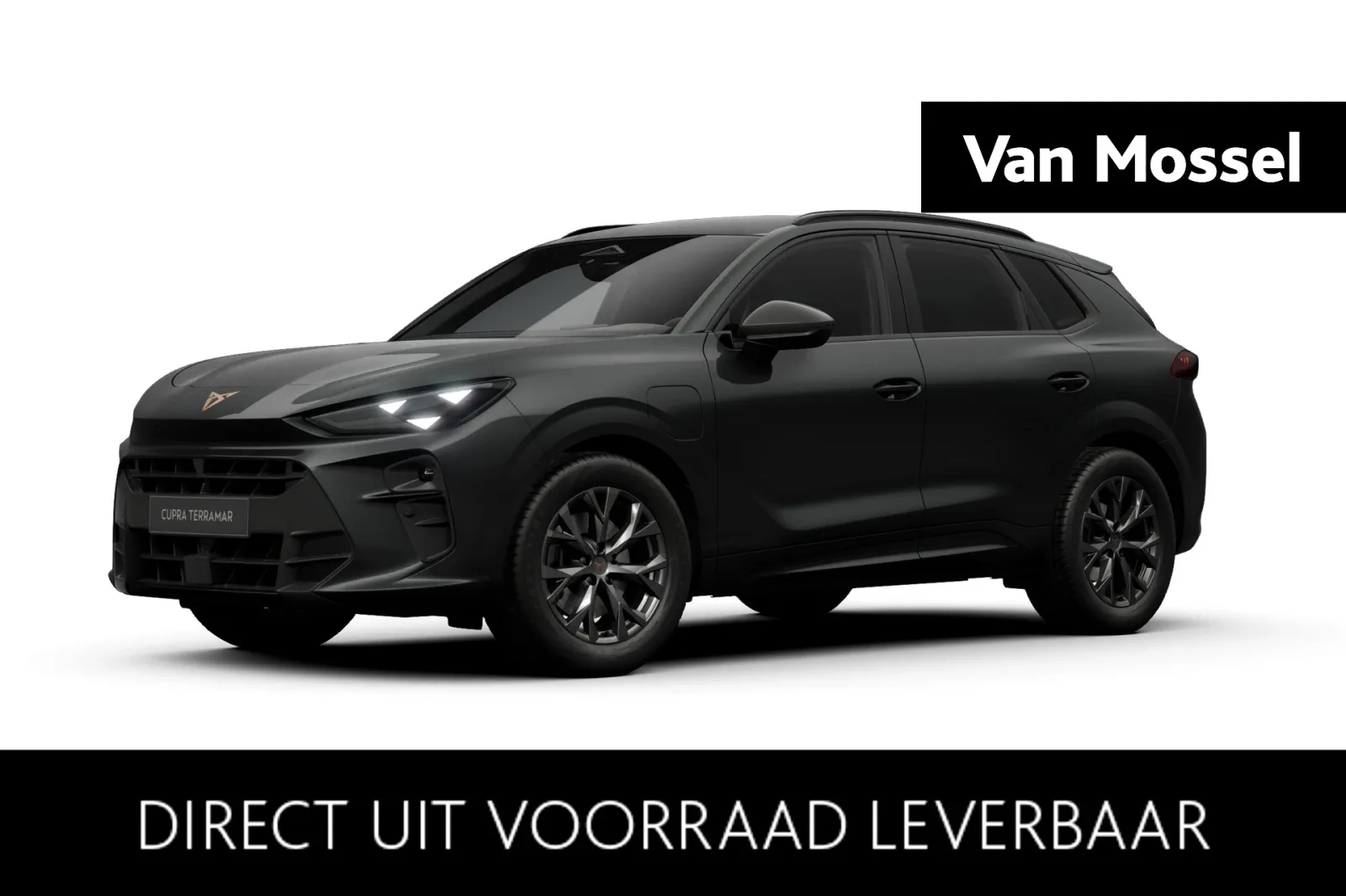 CUPRA Terramar (2026) — foto 1