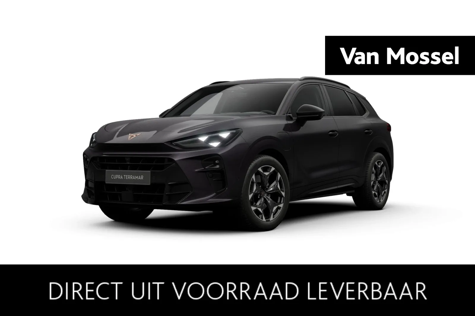 CUPRA Terramar (2026) — foto 1
