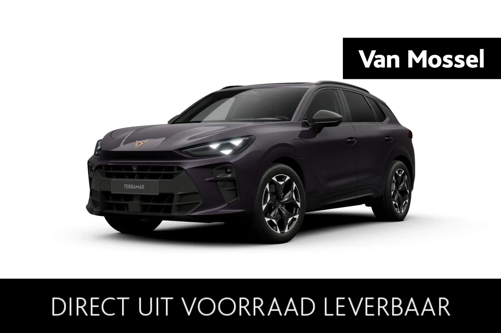 CUPRA Terramar (2026) — foto 1