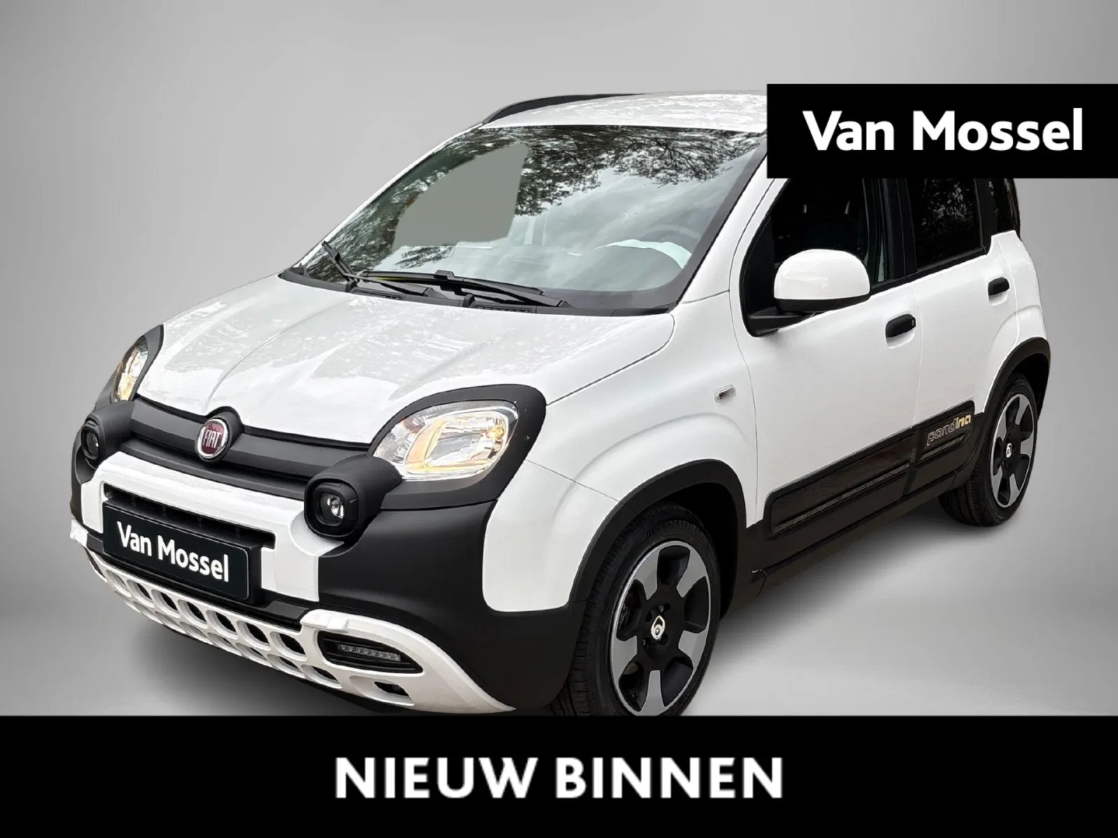 Fiat Pandina (2027) — foto 1