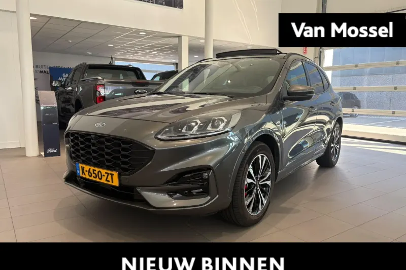 Ford Kuga (2021)