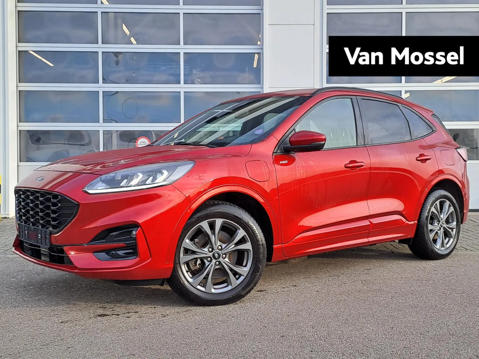Ford Kuga (2021) — foto 1