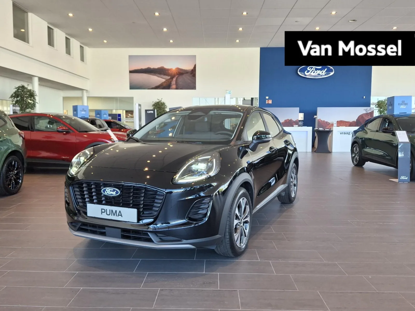 Ford Puma (0) — foto 1