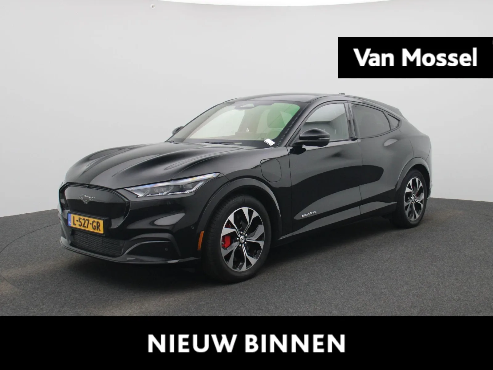 Ford Mustang Mach-E (2021) — foto 1
