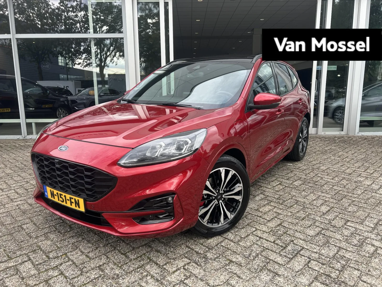 Ford Kuga (2020) — foto 1