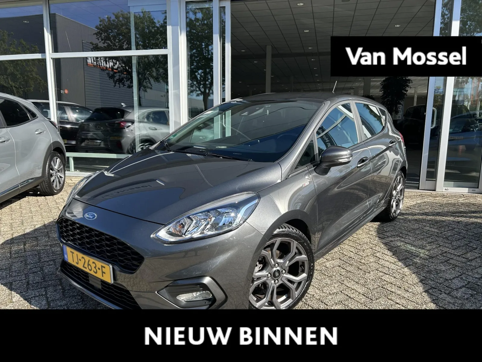 Ford Fiesta (2018) — foto 1