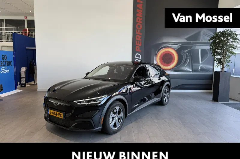 Ford Mustang Mach-E (2021)