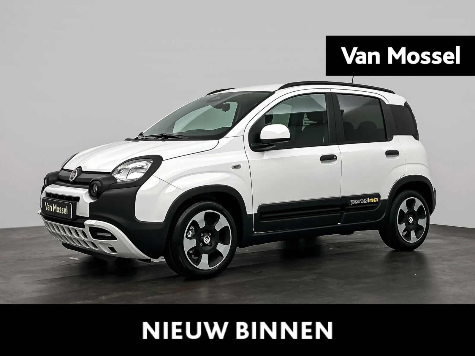 Fiat Pandina (2026) — foto 1