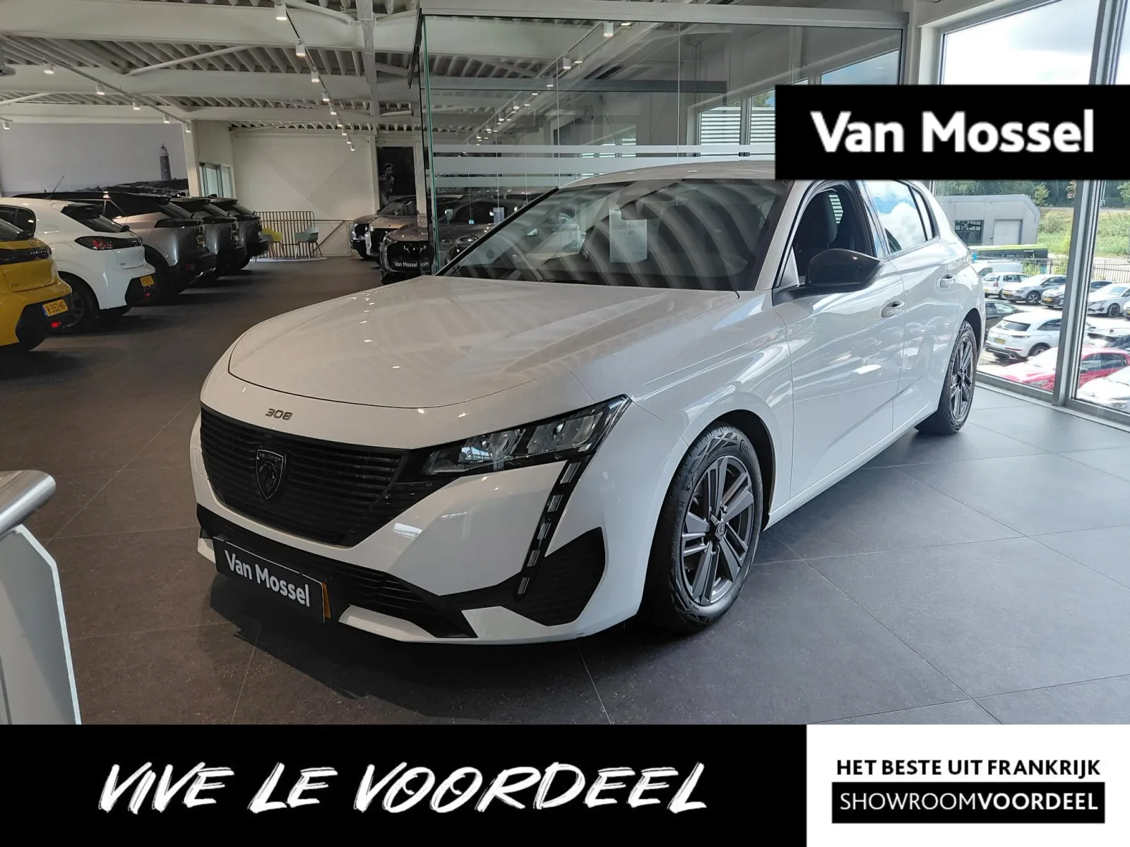 Peugeot 308 (2022) — foto 1