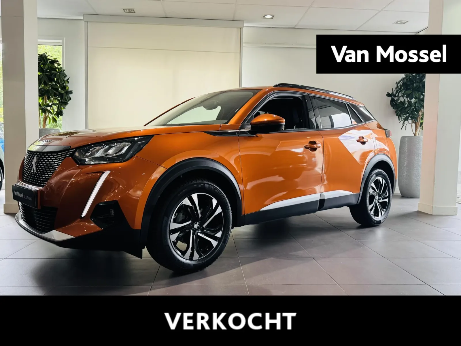 Peugeot 2008 (2021) — foto 1
