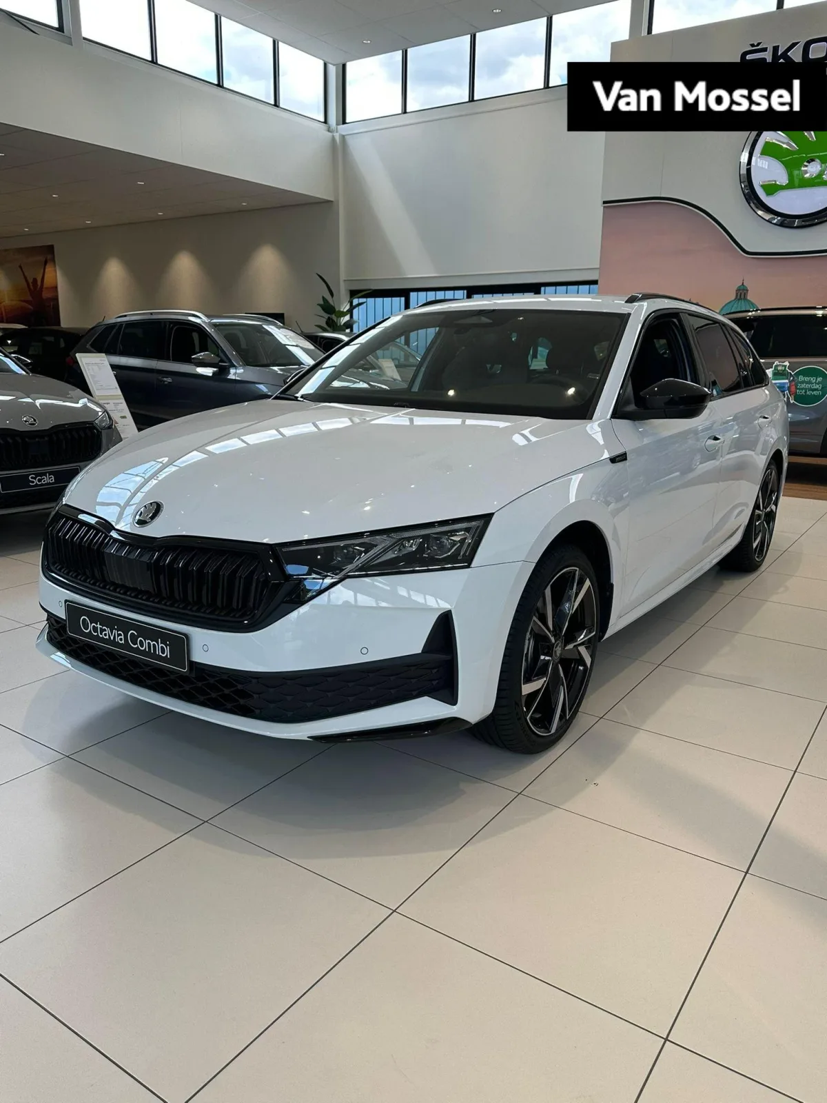Škoda Octavia (2026) — foto 1