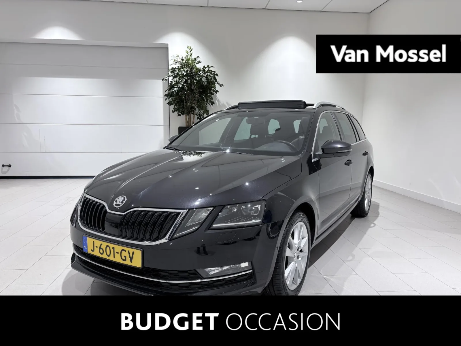 Škoda Octavia (2020) — foto 1