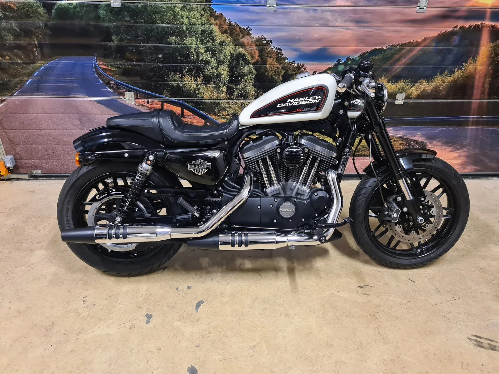 Harley-Davidson Roadster 1200 (2020) — foto 1