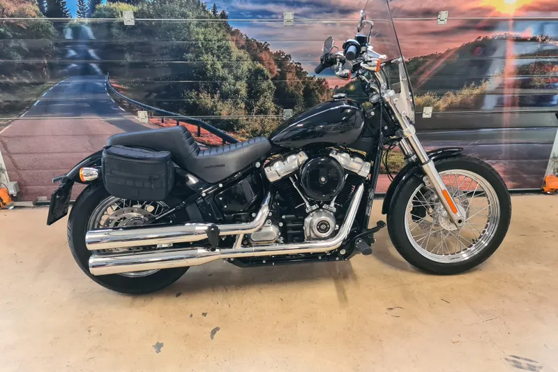 Harley-Davidson Softail (2021)
