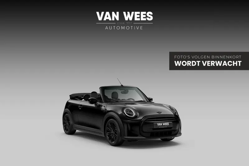 MINI Cabrio (2023)