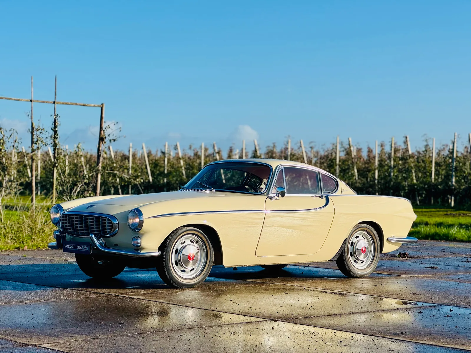 Volvo P1800 (2025) — foto 1
