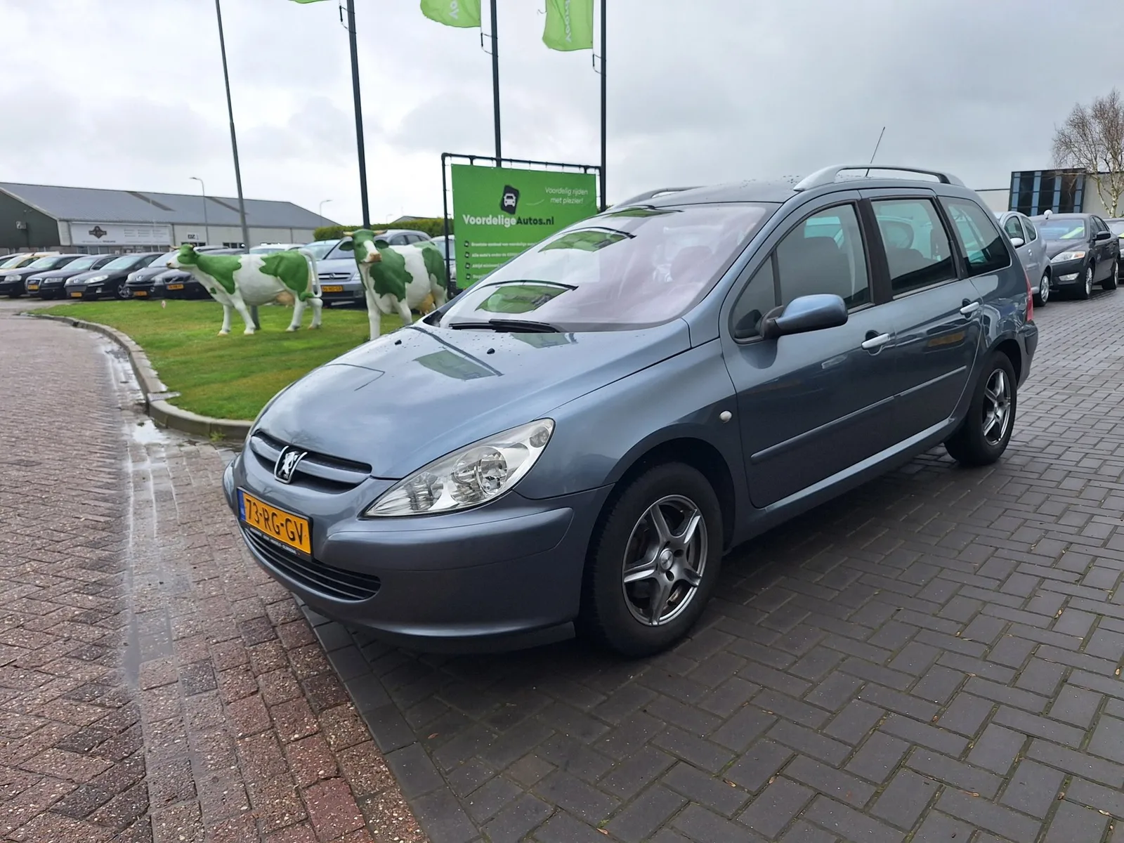 Peugeot 307 SW (2005) — foto 1