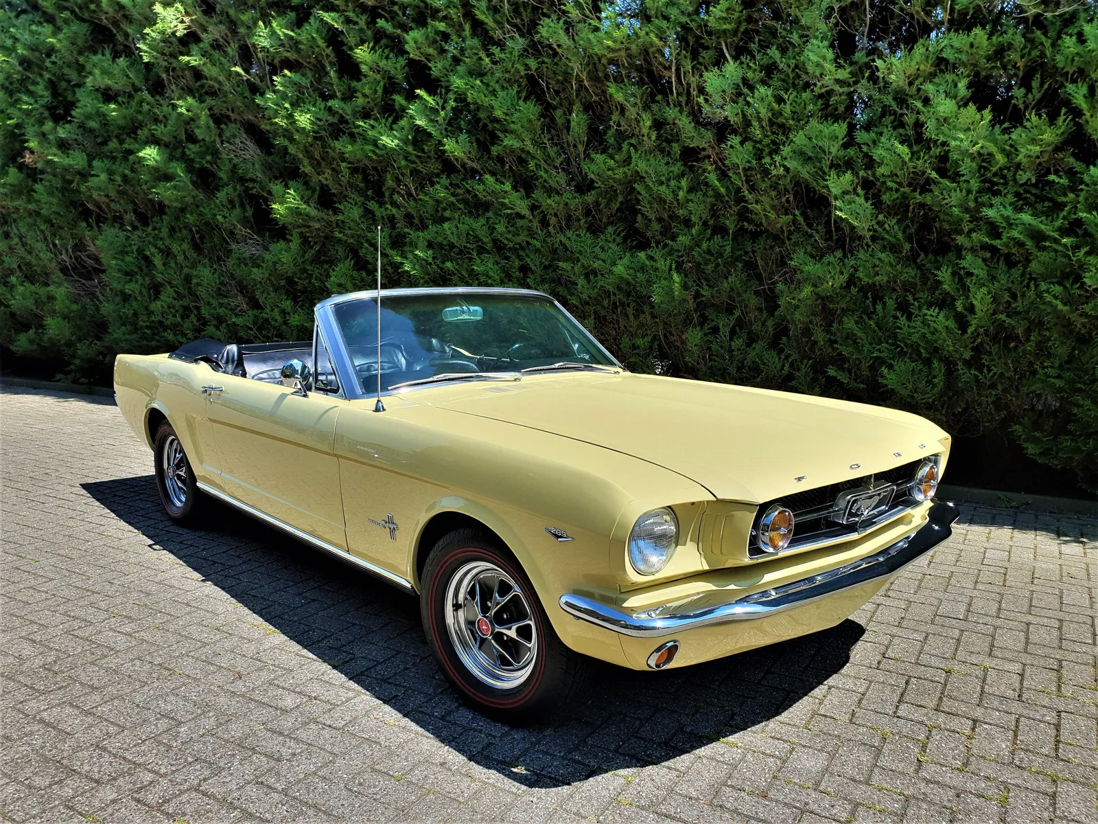 Ford Mustang (1964) — foto 1