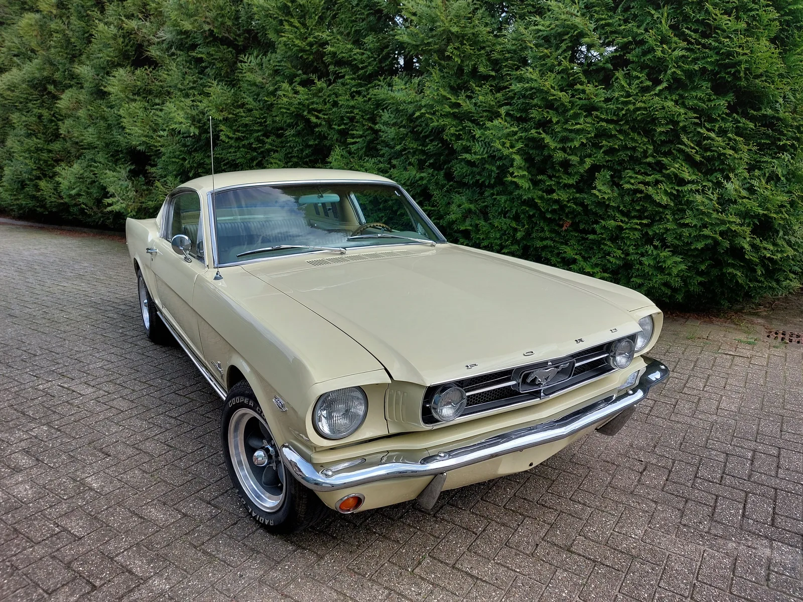 Ford Mustang (1965) — foto 1