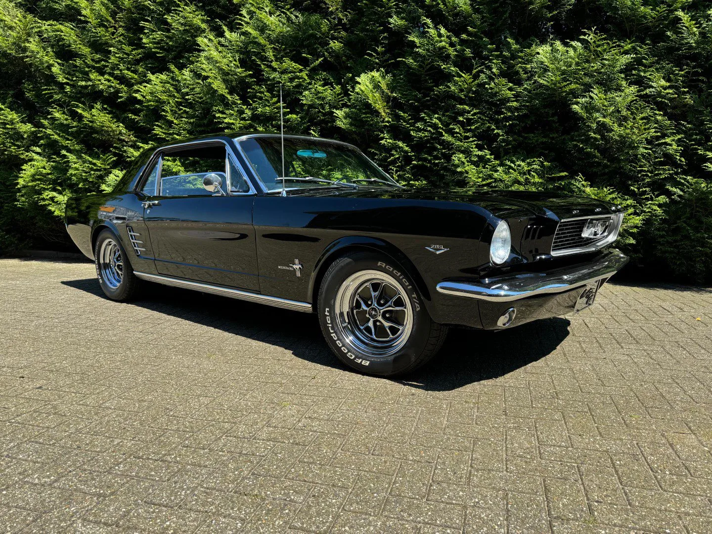 Ford Mustang (1966) — foto 1