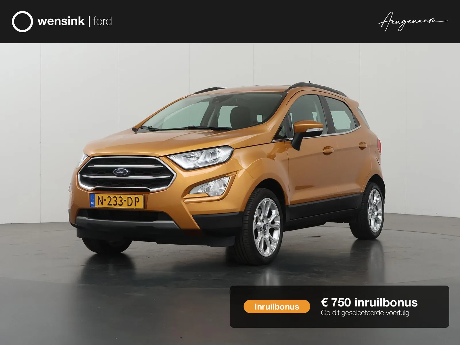 Ford EcoSport (2021) — foto 1