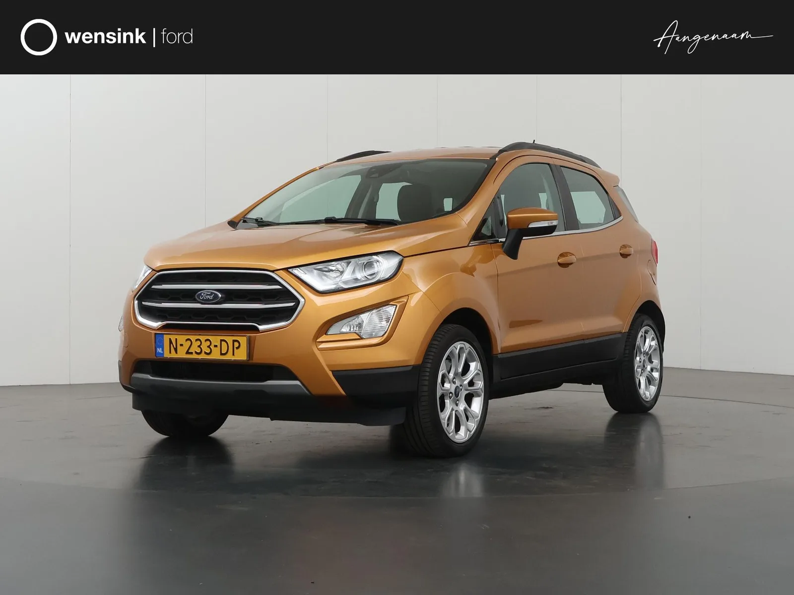 Ford EcoSport (2021) — foto 1