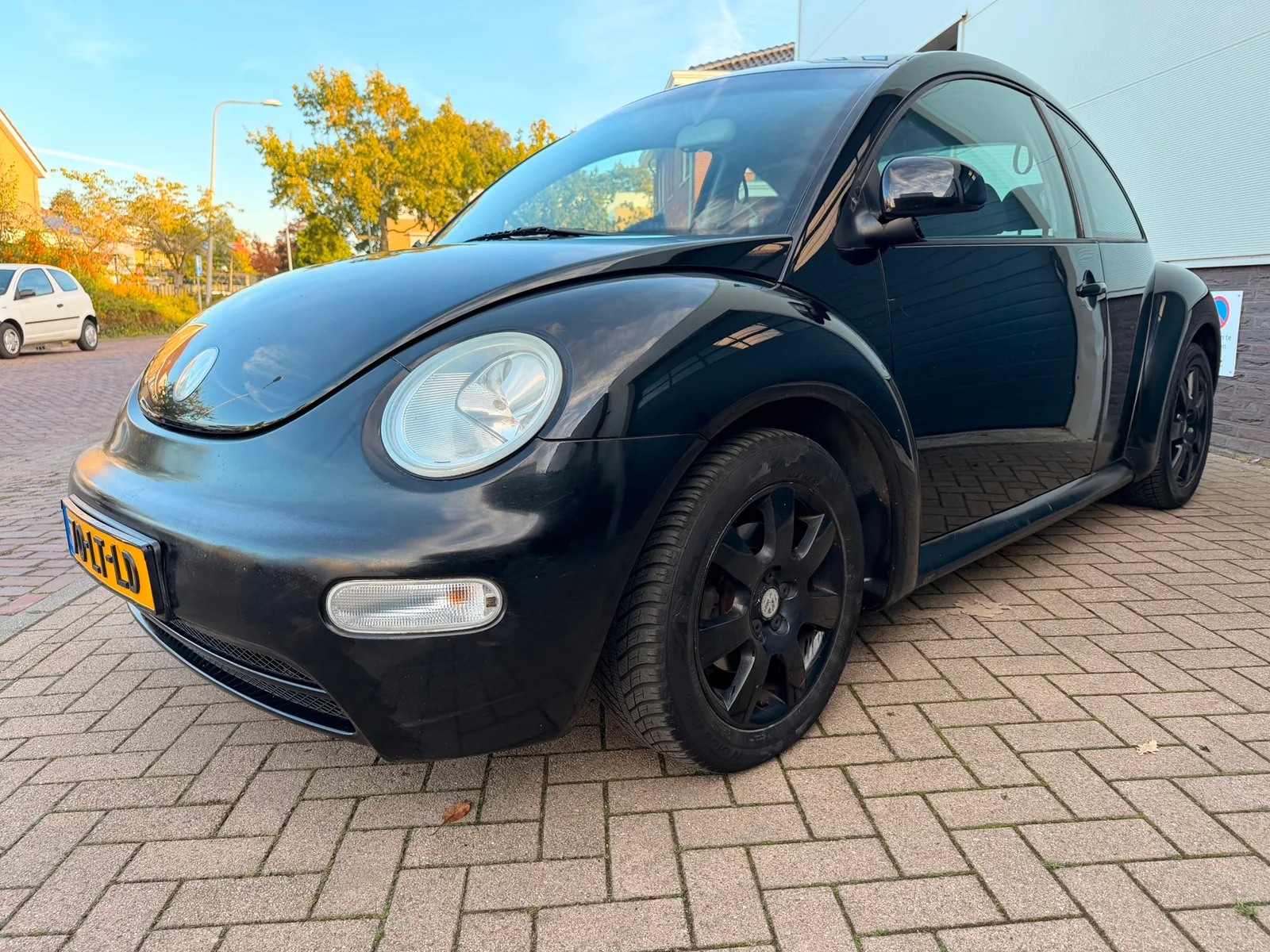Volkswagen New Beetle (2003) — foto 1