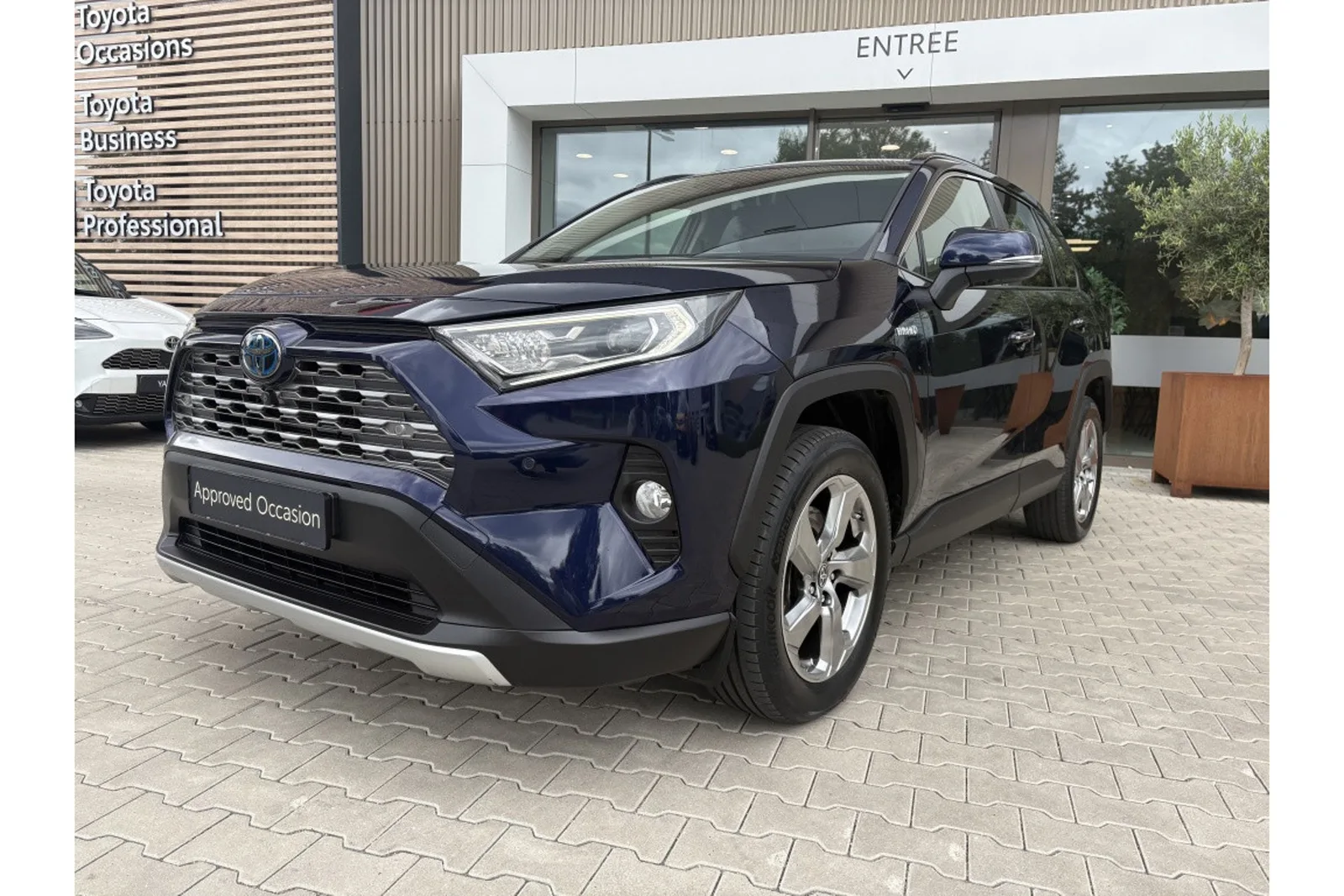 Toyota RAV4 (2020) — foto 1
