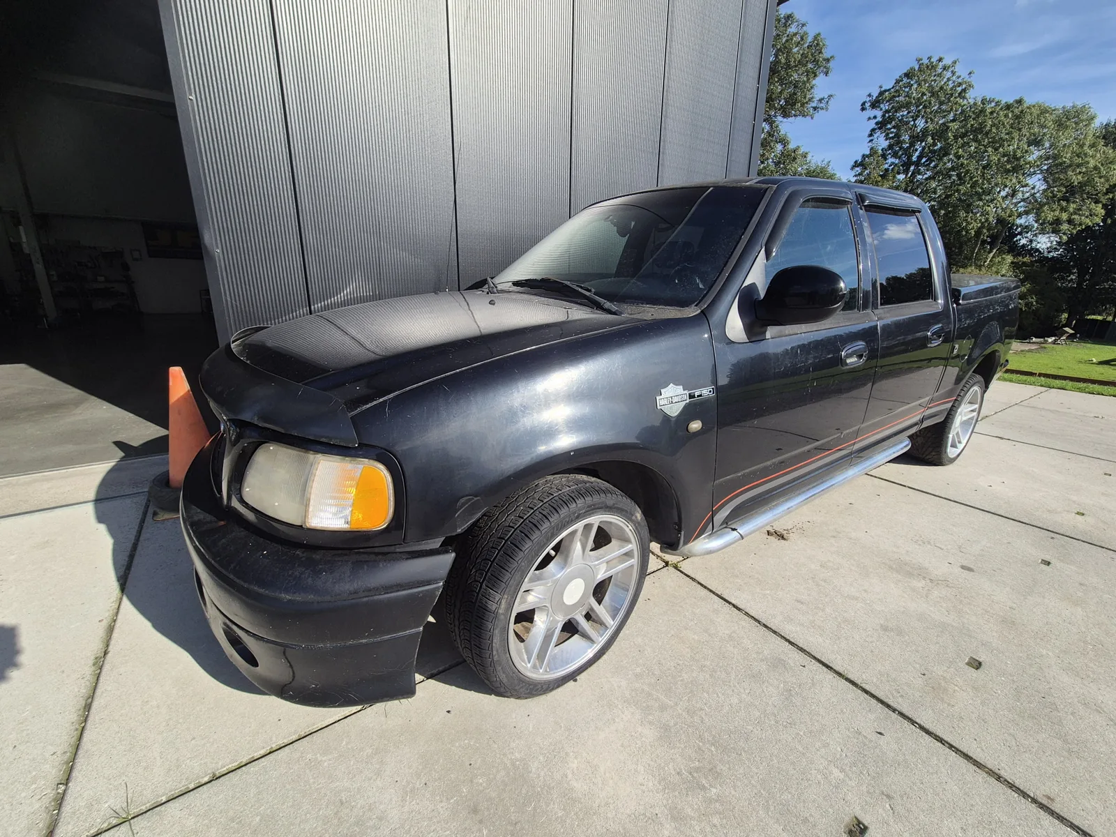 Ford F-150 (2002) — foto 1