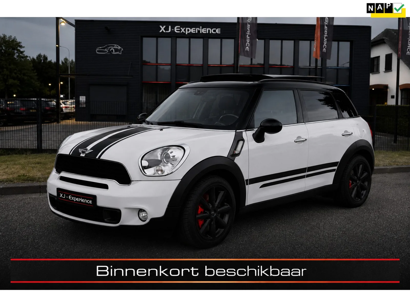 MINI Countryman (2010) — foto 1