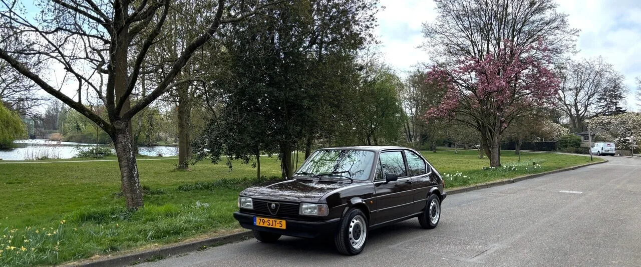 Alfa Romeo Alfasud (1983) — foto 1
