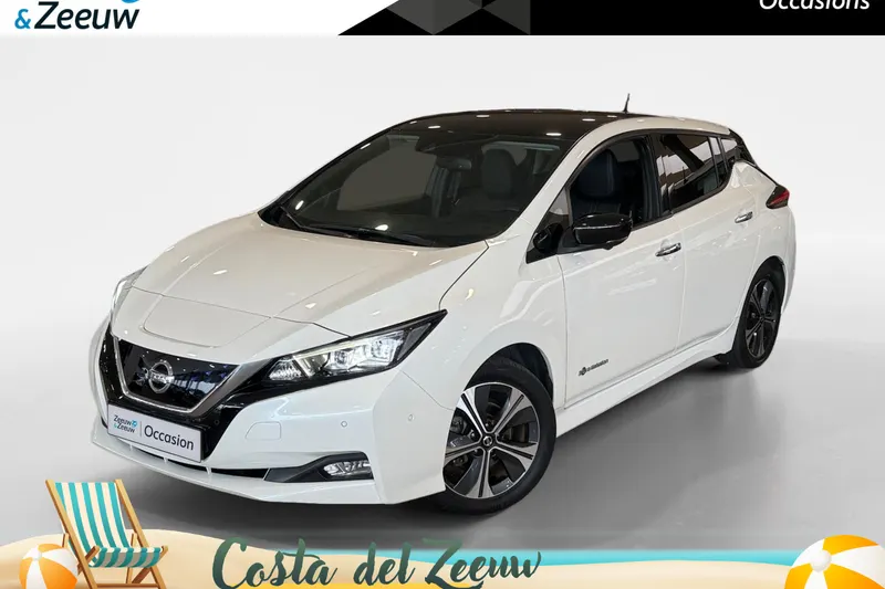 Nissan Leaf (2019)