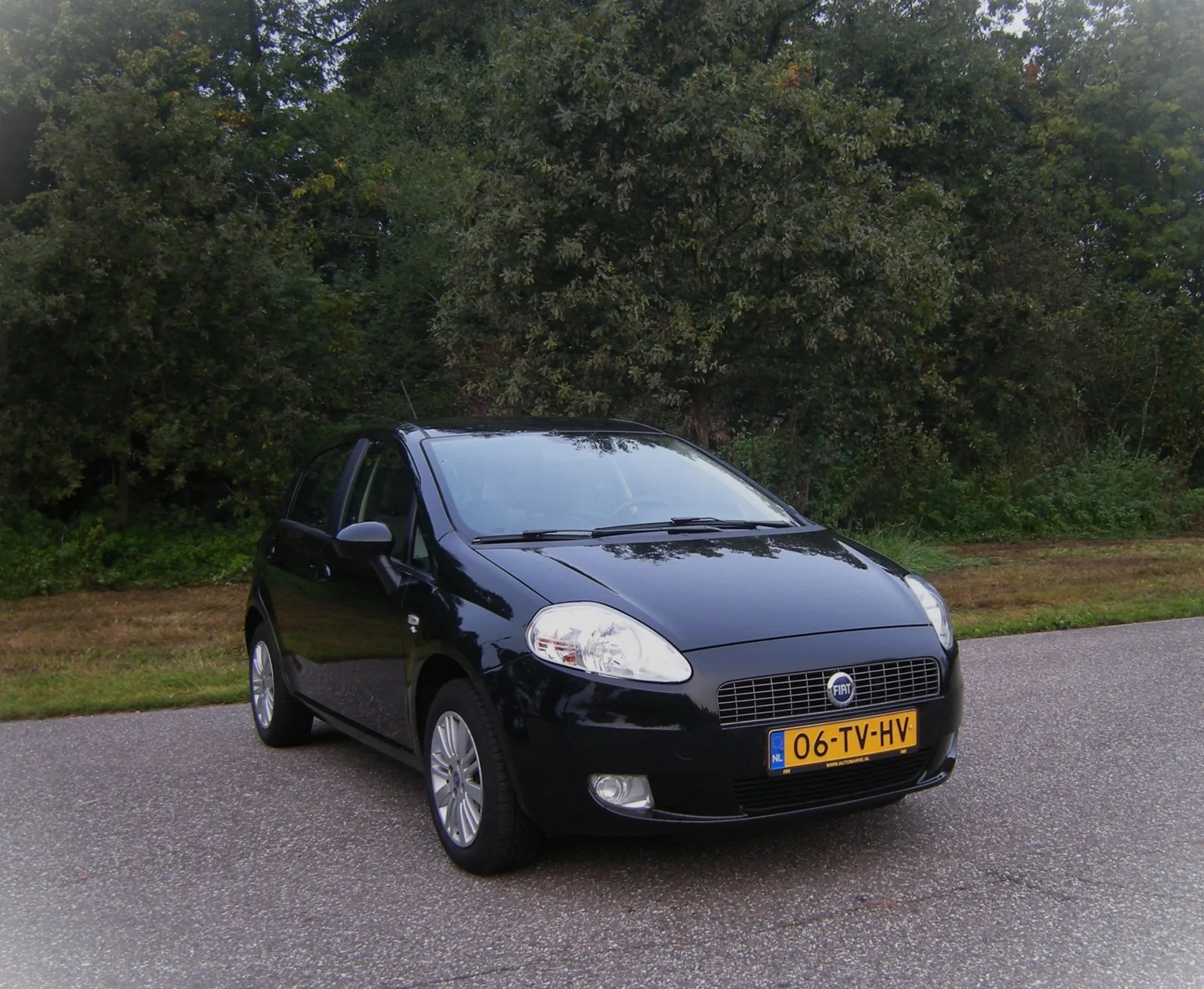 Fiat Grande Punto (2007) — foto 1